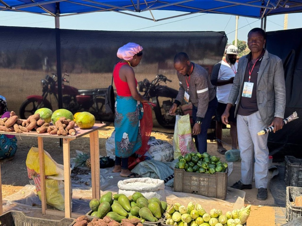 Mercado Agr??cola